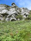 Can you spot the Disas?  (The pink spot behind the bush on the cliff)