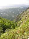 Another view down